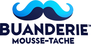 Logo couleur de Buanderie Mousse-Tache